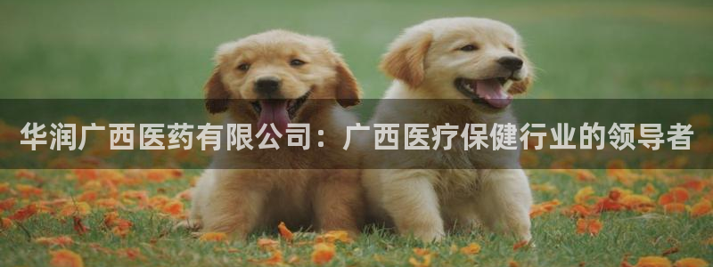 九游会官网登录首页
